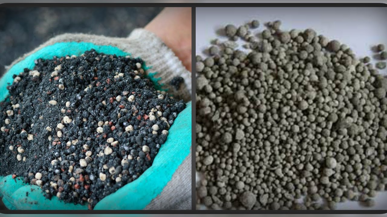 Как избавиться от паутинного клеща на огурцах