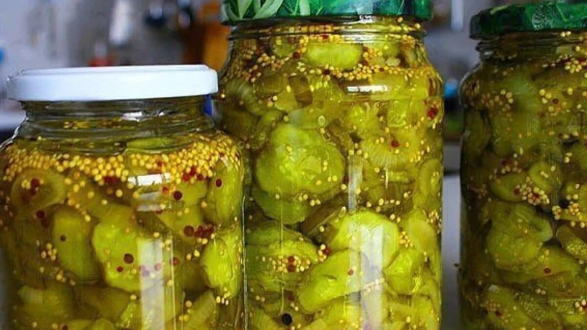 Можно ли консервировать горький огурец на зиму