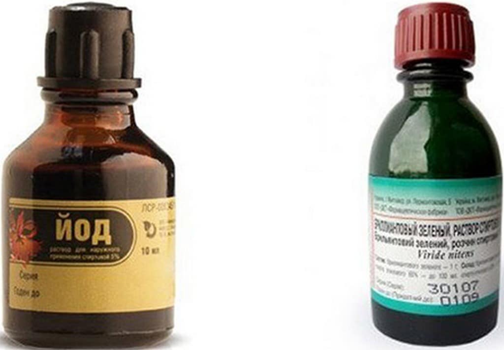 Особенности применения и тонкости обработки огурцов зеленкой и йодом