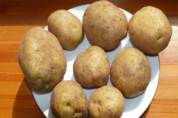 Описание картофеля Винетта — что это за ранний сорт?