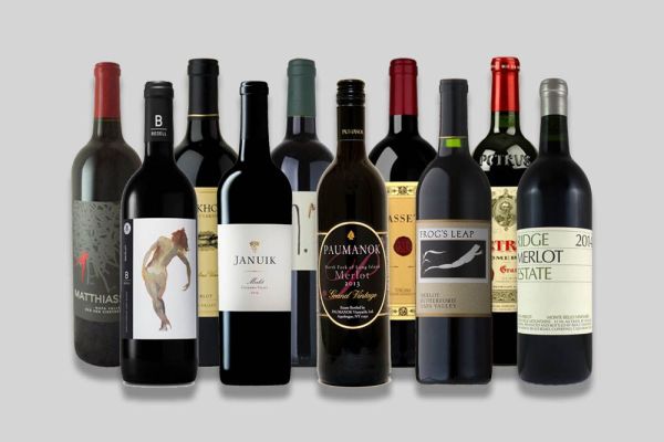 Особенности выращивания винного винограда Мерло