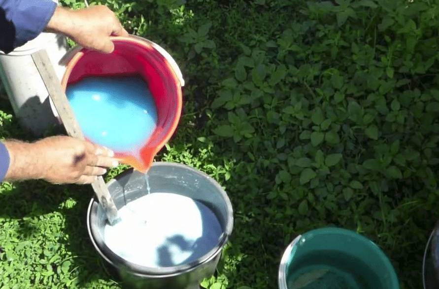 Осенняя обработка винограда против болезней и вредителей