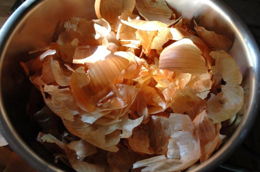 Осенняя обработка винограда против болезней и вредителей