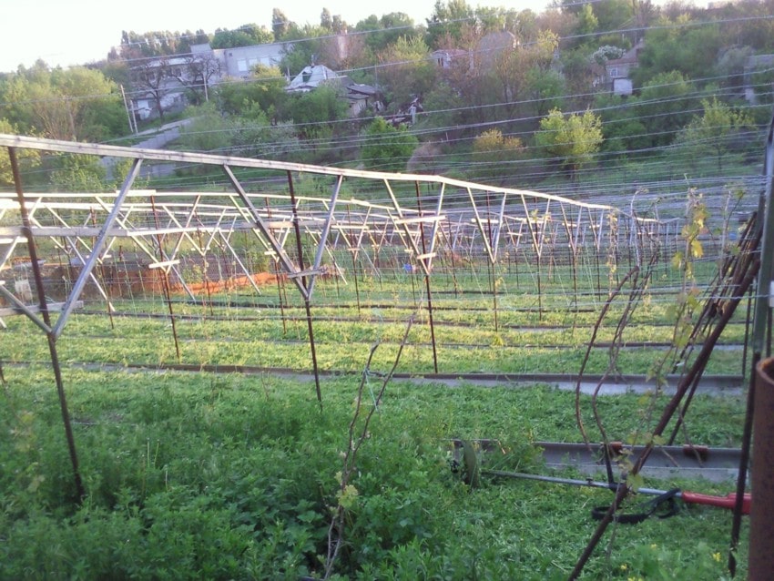 Инструкция как сделать шпалеру для малины своими руками
