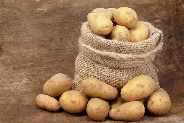 Описание картофеля Винетта — что это за ранний сорт?