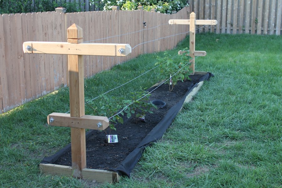 Инструкция как сделать шпалеру для малины своими руками