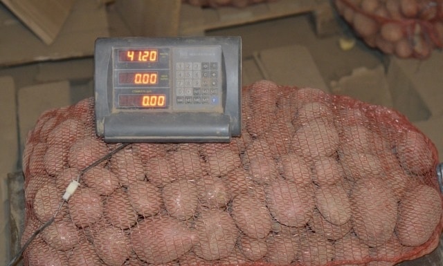 Описание сорта картошки «Беллароза»