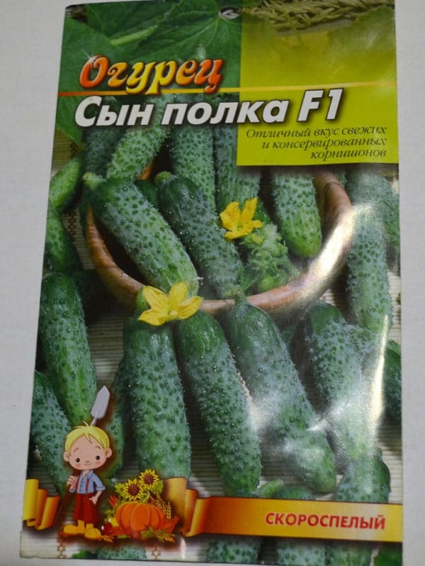 сын полка