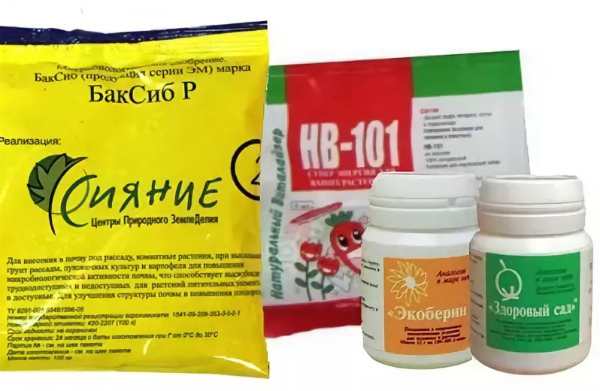 Какие удобрения при посадке в почву следует вносить весной