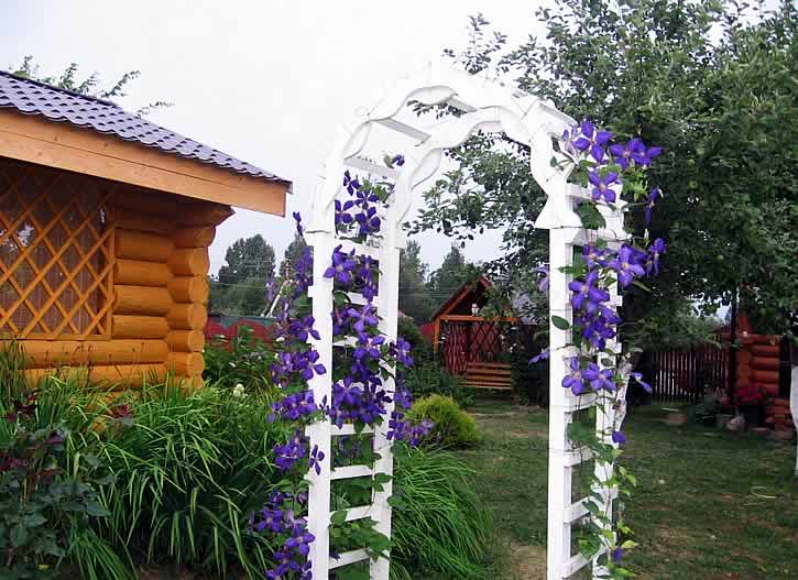 Арки в ландшафтном дизайне