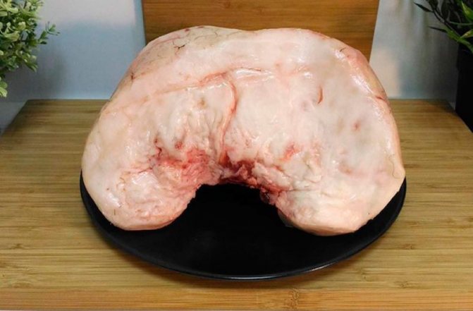 Бараний курдюк