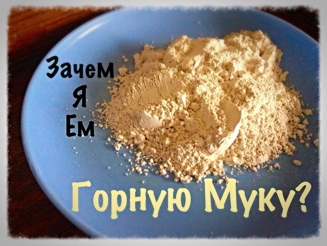 Диатомит или Горная Мука: что это такое и полезные свойства