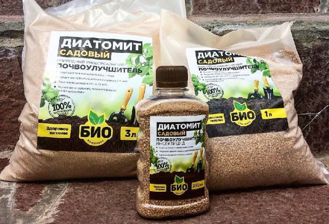 Диатомит - натуральный органический почвоулучшитель для Бонсай