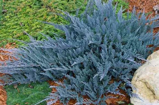 Горизонтальный