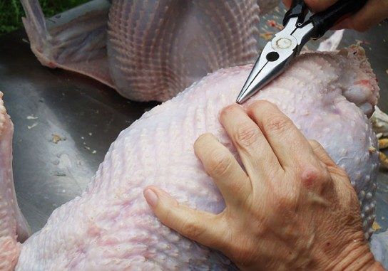 Как разделать гуся?