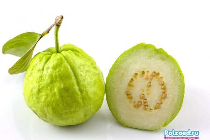 Зеленая гуава